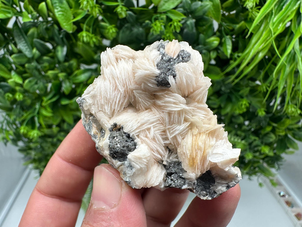 Wonderful Baryte with Cerussite on Galena from Morocco,Crystal, Mineral,Specimen,Cluster,Crystals,Barite Crystal,Cerussite Crystal,Specimen