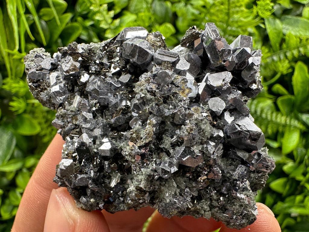 Skeletal Galena on Needle Quartz, Borieva Mine, Bulgaria