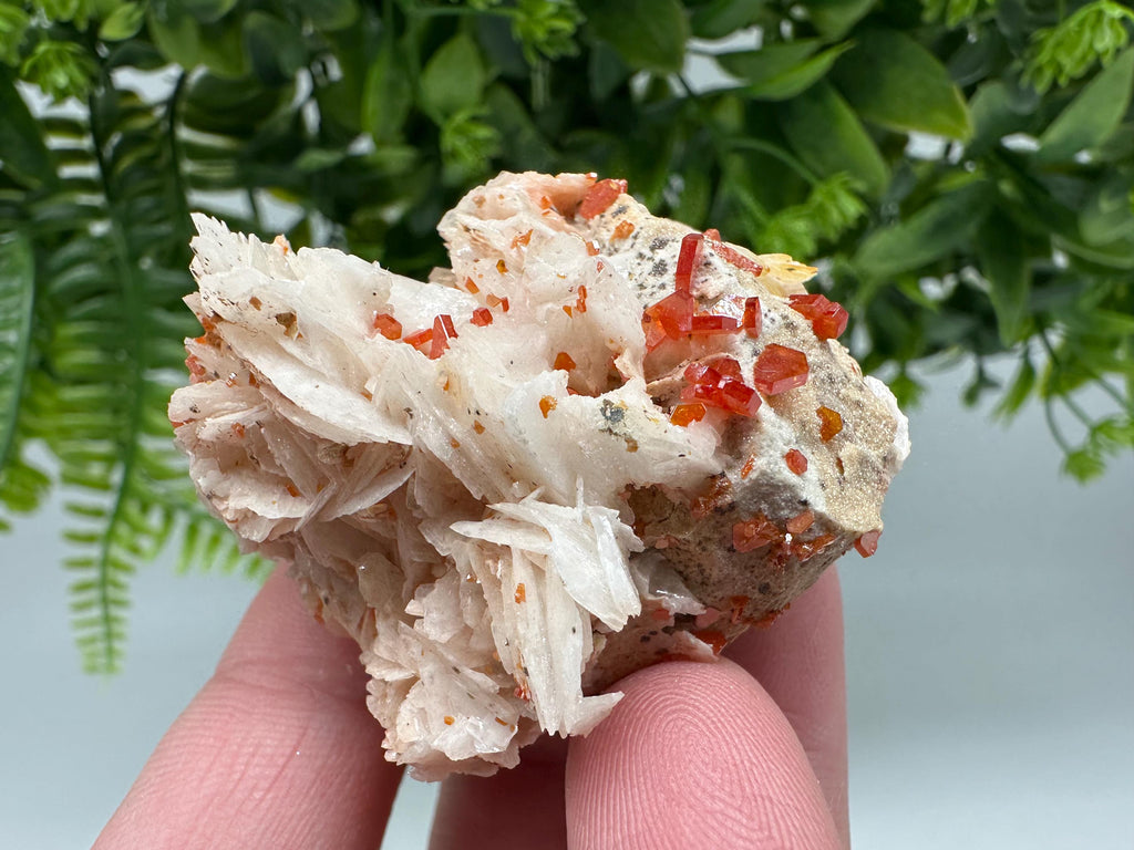 Red Vanadinite on Barite from Marocco,crystal minerals Speciment cluster Vanadinite crystal Vanadinite Geology Vanadinite cluster minerals