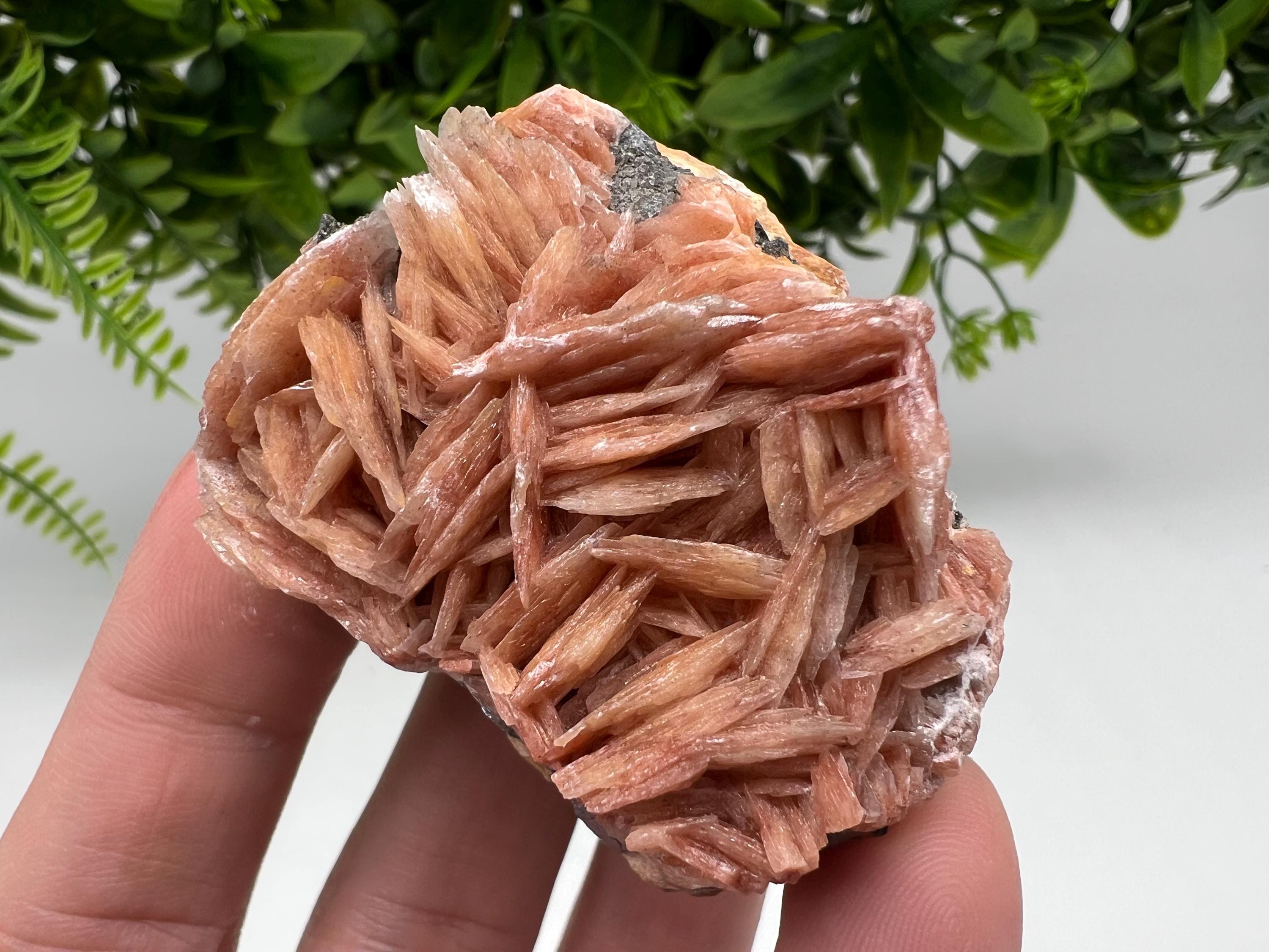 Wonderful Baryte with Cerussite on Galena from Morocco,Crystal, Mineral,Specimen,Cluster,Crystals,Barite Crystal,Cerussite Crystal,Specimen