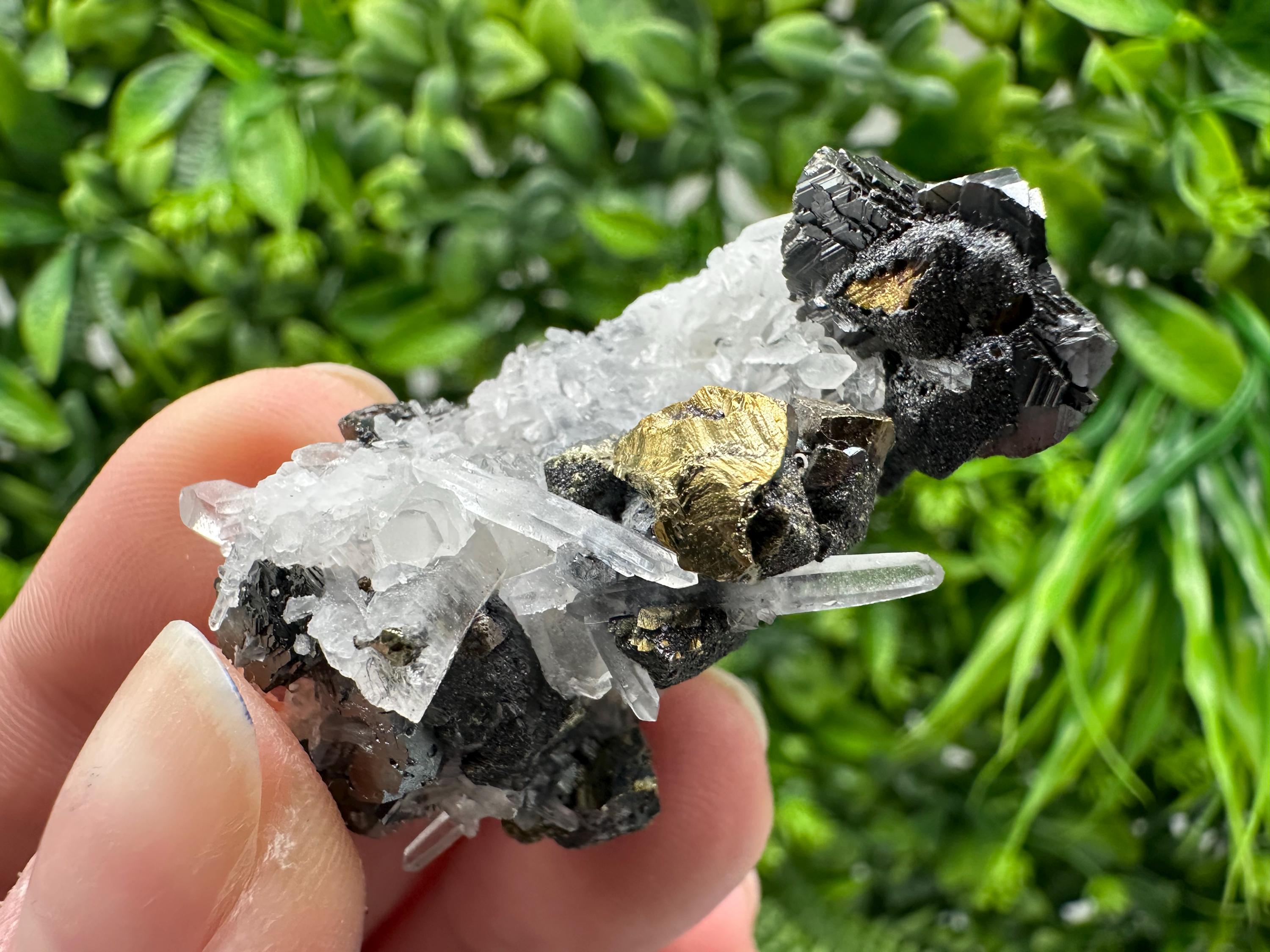 Wonderful Sphalerite Chalcopyrite on  Quartz whit Galena feom 9 th September mine,Bulgaria,natural,collection mineral specimen,gift