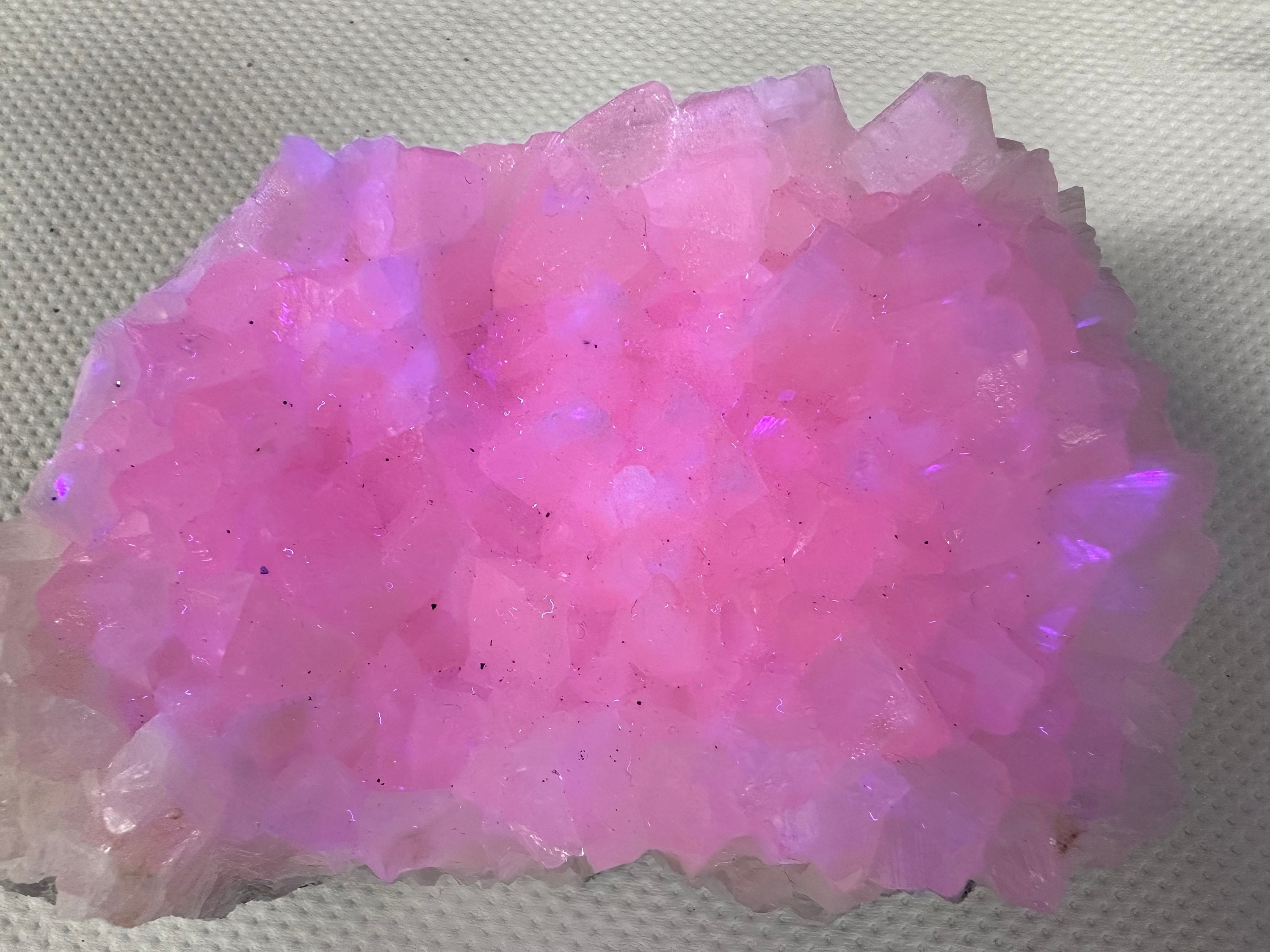 UV Reactive Mangano Calcite, Androvo Mine Bulgaria, Mineral Specimen