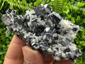 Shiny Skeletal Galena on Quartz with Calcite - Madan Bulgaria Crystal