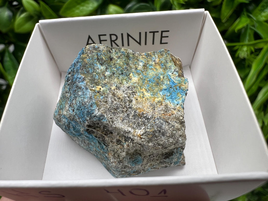Rare Raw Aerinite Mineral Specimen: Lleida Spain Crystal