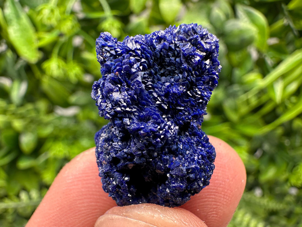 Crystallized Azurite-Kerrouchen,Morocco-Blue Azurite Specimen-High Quality Blue Azurite-Azurite Mineral Specimen, gemmy,lustrous of Azurite