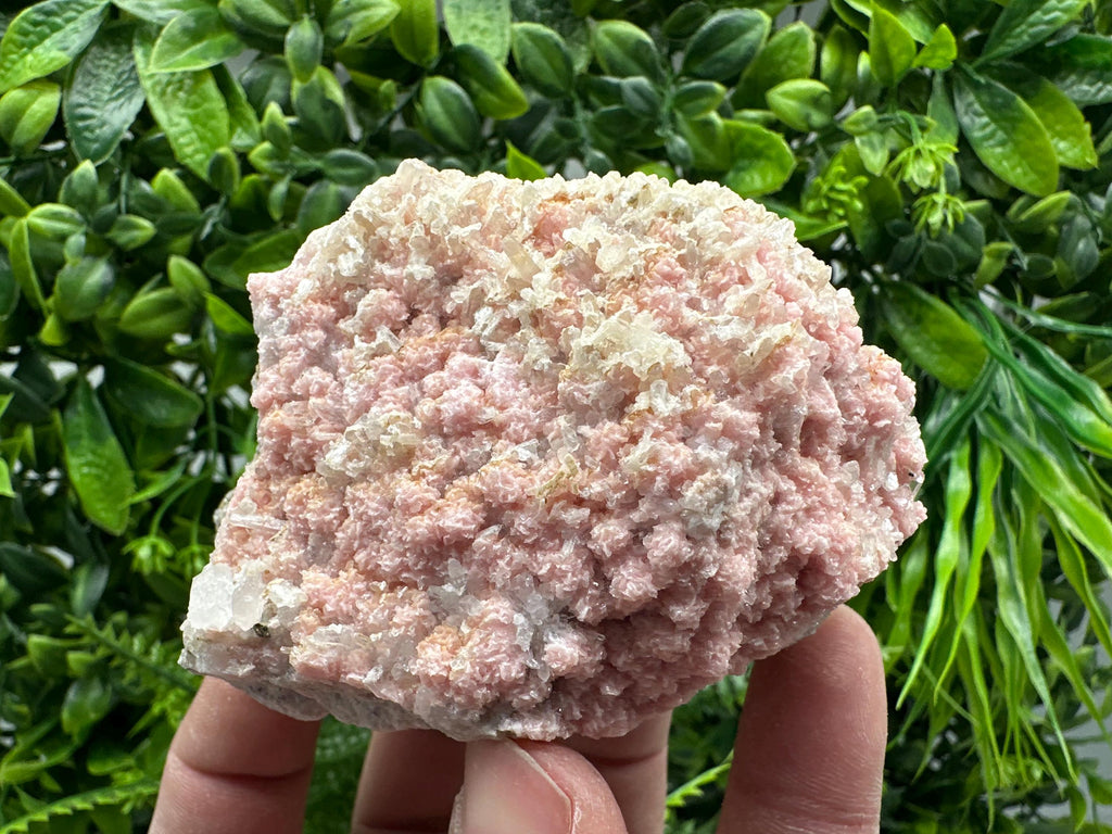 Rhodochrosite on Quartz, Starnica Mine, Bulgaria