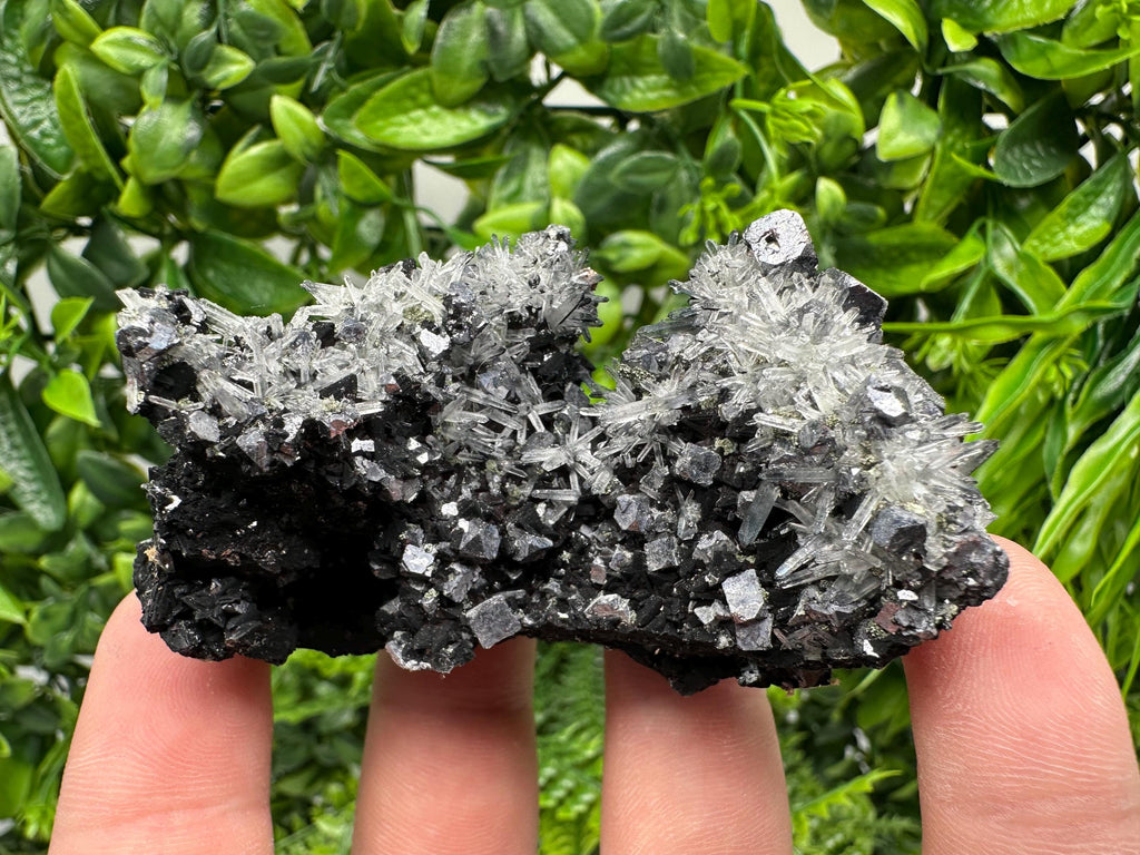 Galena, Quartz, Calcite on Chlorite, Borieva Mine Mineral Specimen