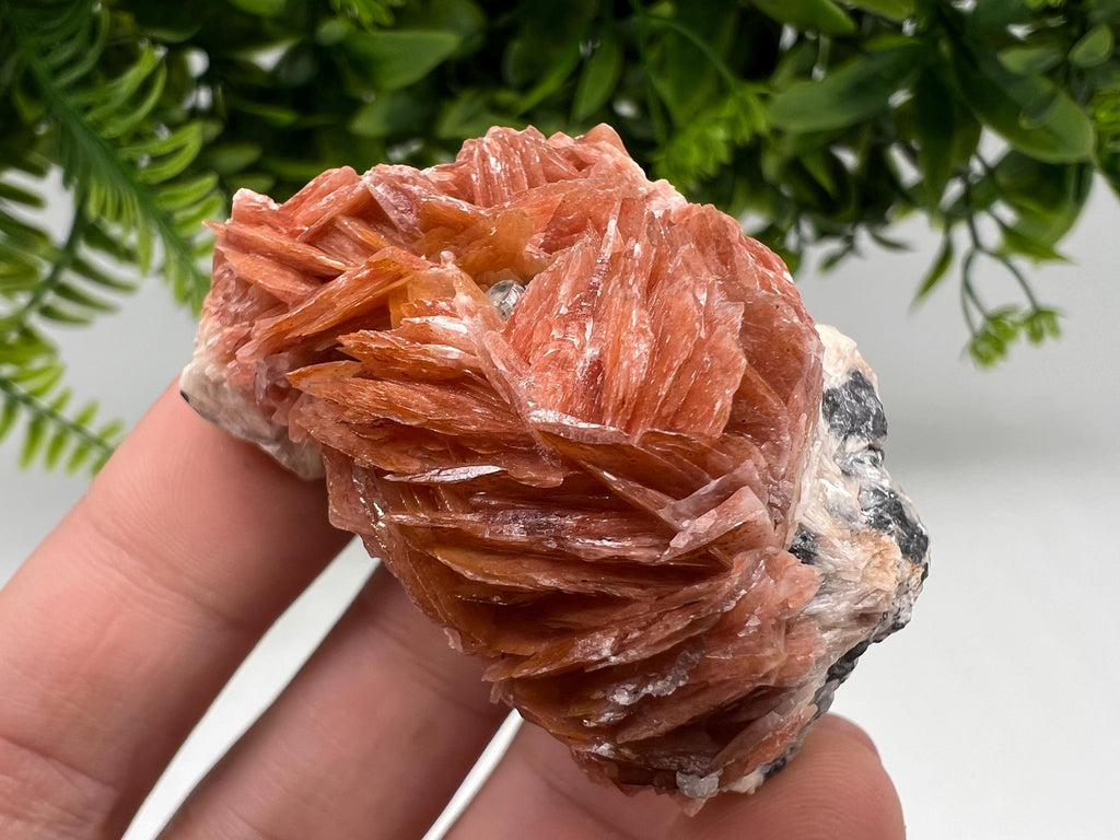 Wonderful Baryte with Cerussite on Galena from Morocco,Crystal, Mineral,Specimen,Cluster,Crystals,Barite Crystal,Cerussite Crystal,Specimen