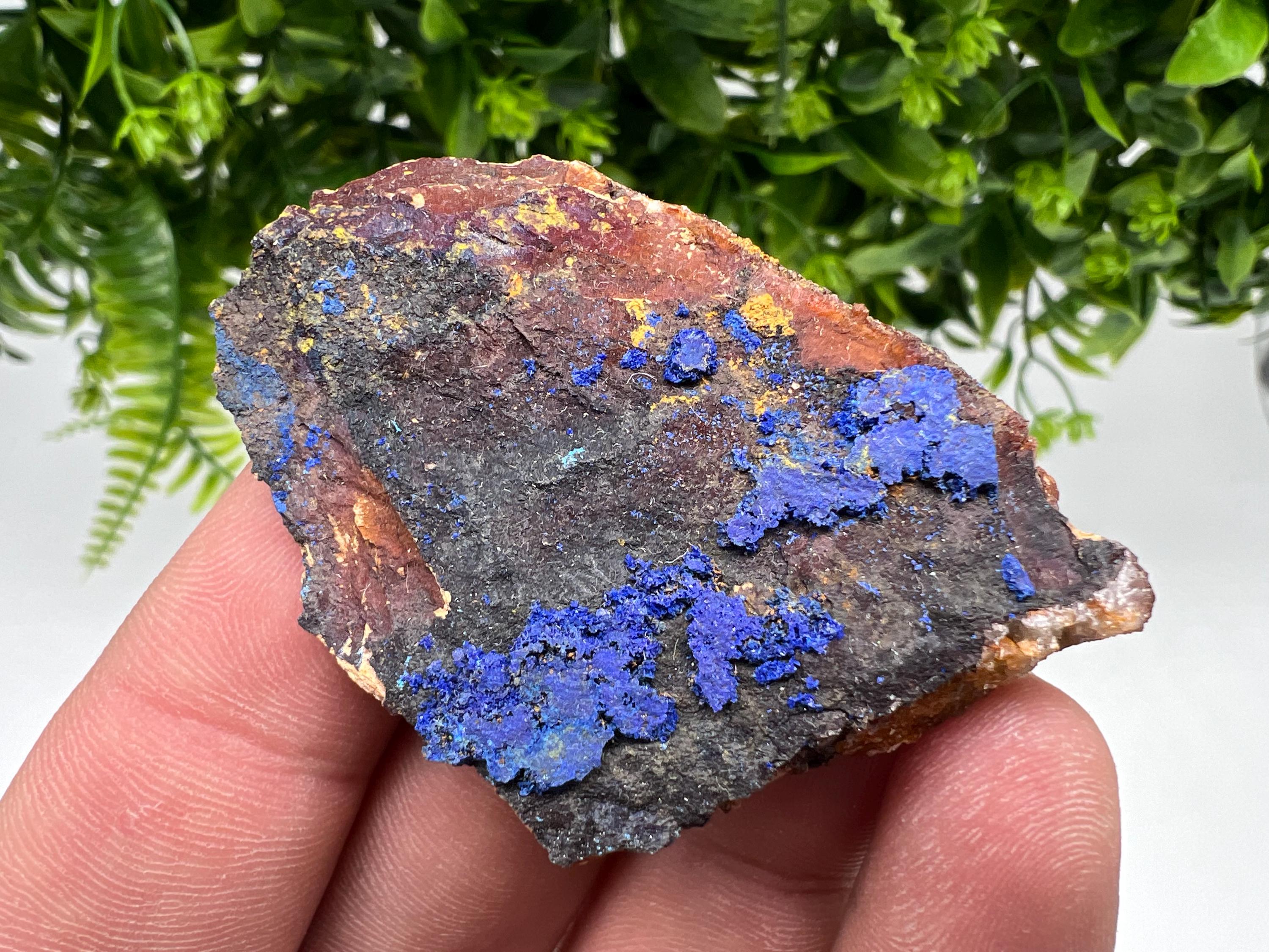 Azurite Malachite Mineral Specimen, Morocco Crystal, Collector Stone