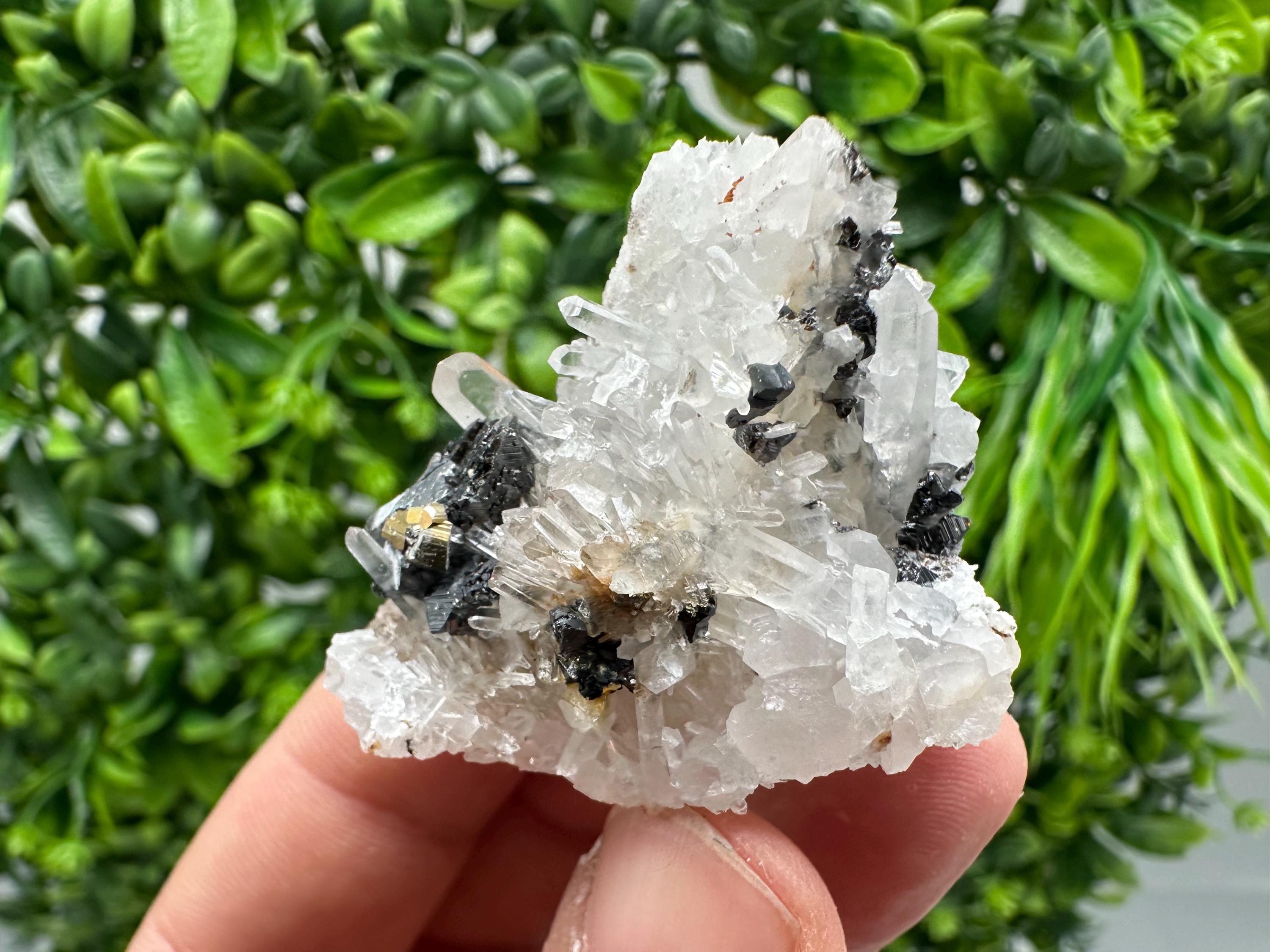 Wonderful Sphalerite Chalcopyrite on  Quartz whit Hematite feom 9 th September mine,Bulgaria,natural,collection mineral specimen,gift