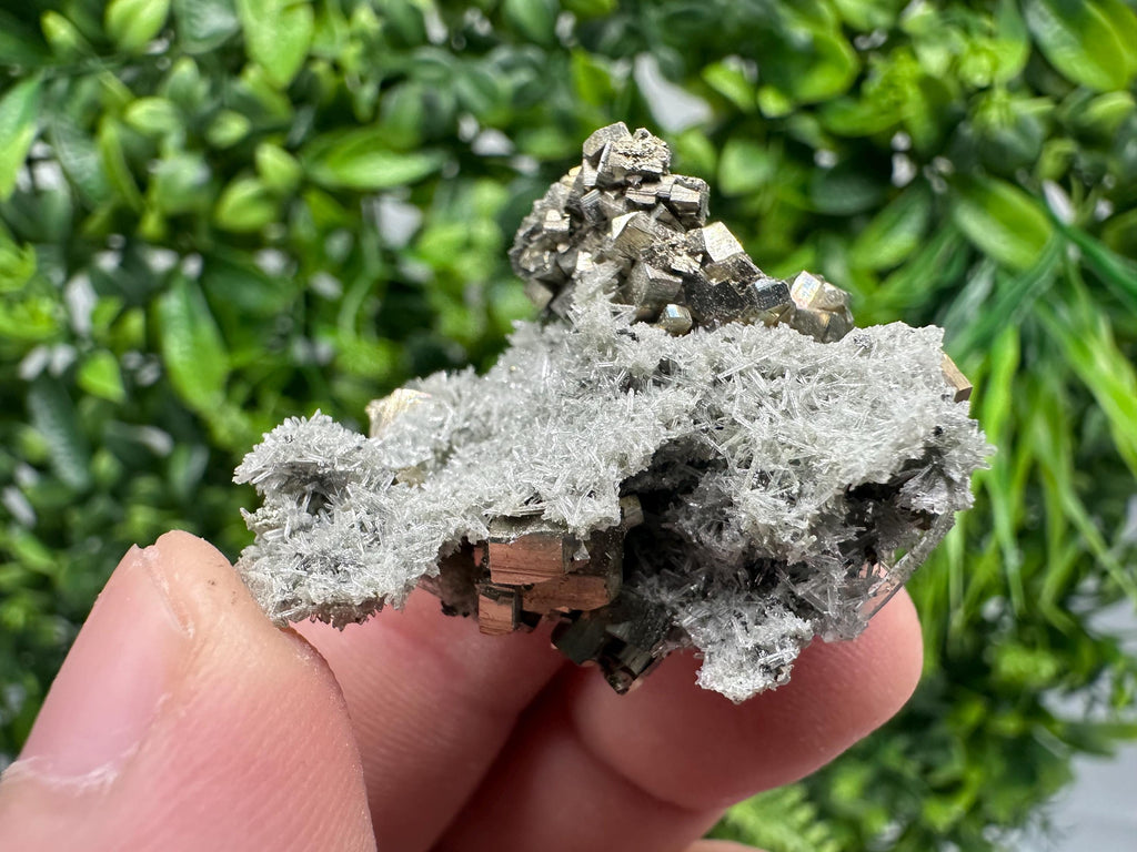 Pyrite on Green Quartz, Borieva Mine Mineral Specimen, Home Decor Stone