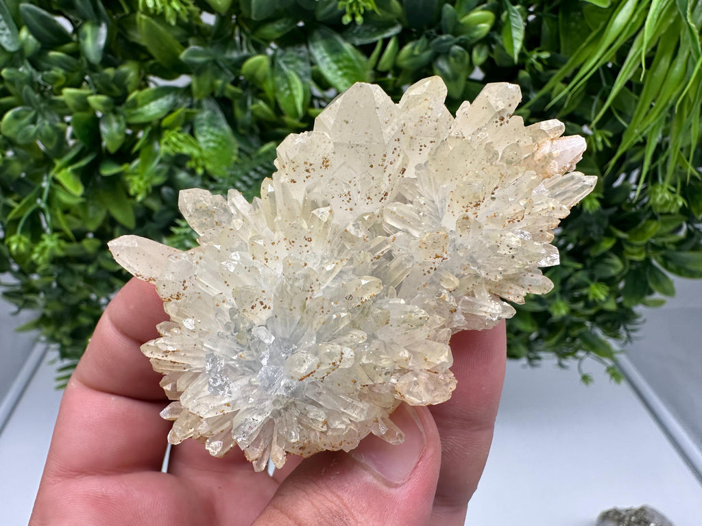 Quartz whit Brown Rhodochrosite from Djurcovo mine,Bulgaria,Quartz,Rhodochrosite cluster,natural mineral,collection crystal,mineral specimen