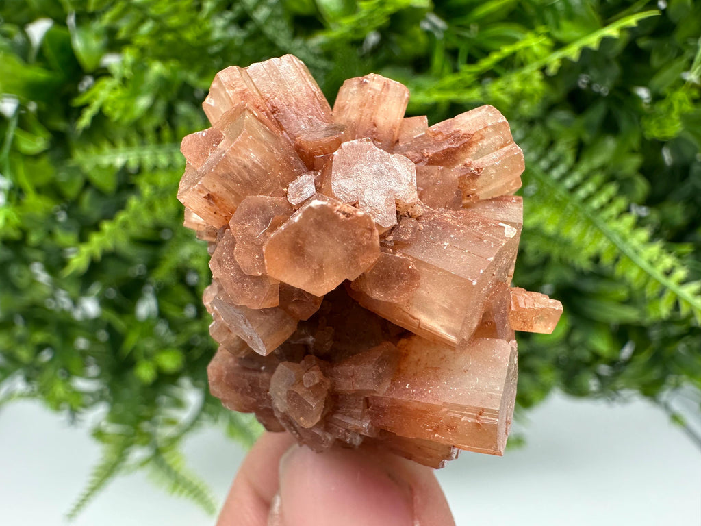 Moroccan Aragonite Sputnik Cluster: Raw Crystal Stone Decor
