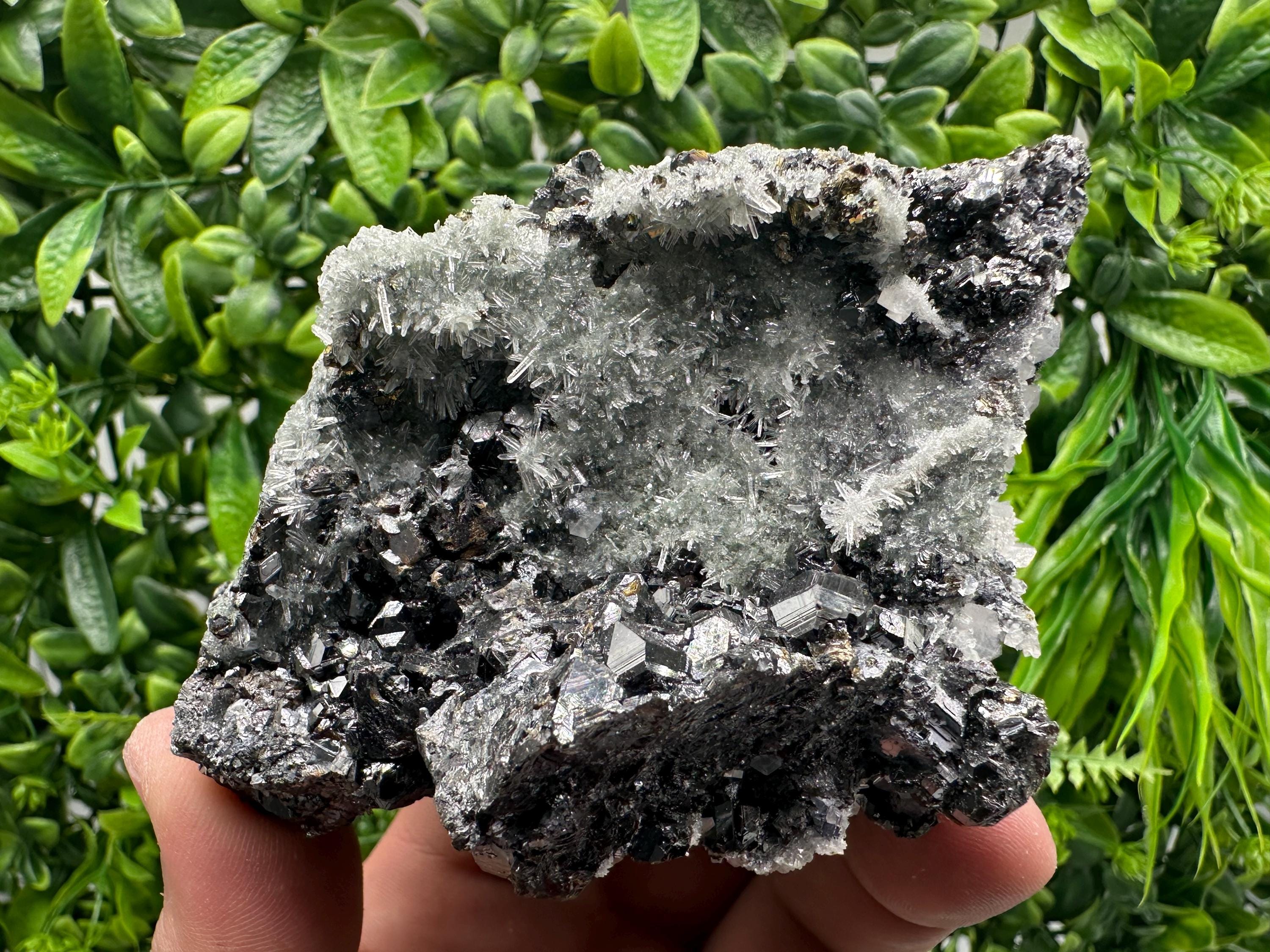 Sphalerite on Green Quartz, Borieva Mine Mineral Specimen
