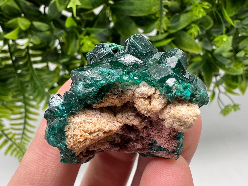 Stunning Green Dioptase from Sanda Hills,Mindouli,Pool Department,Mindouli District,Congo,green Dioptase,Dioptas Crystal,Dioptase collecting
