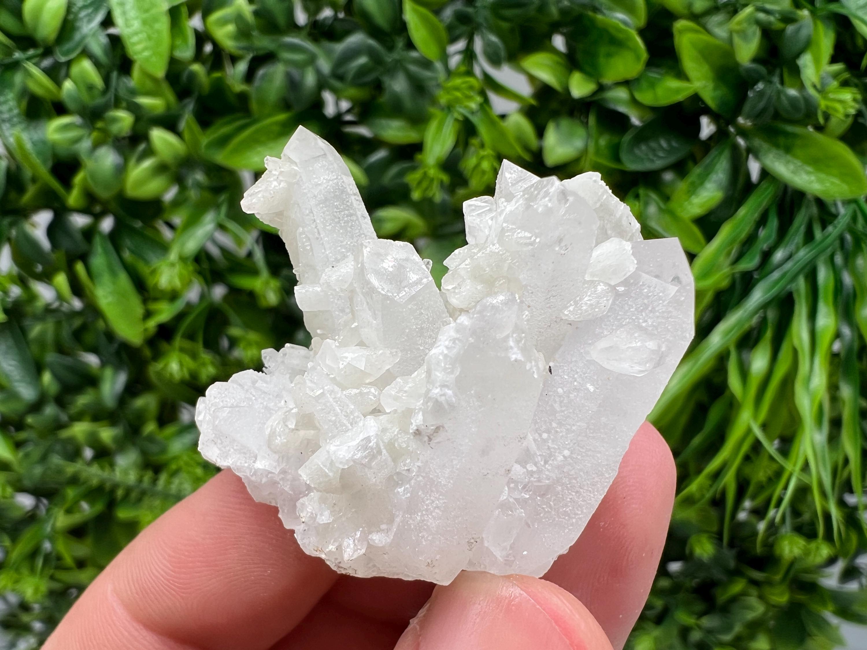 Calcite on Green Quartz: Djurcovo Mine, Bulgaria Healing Crystal