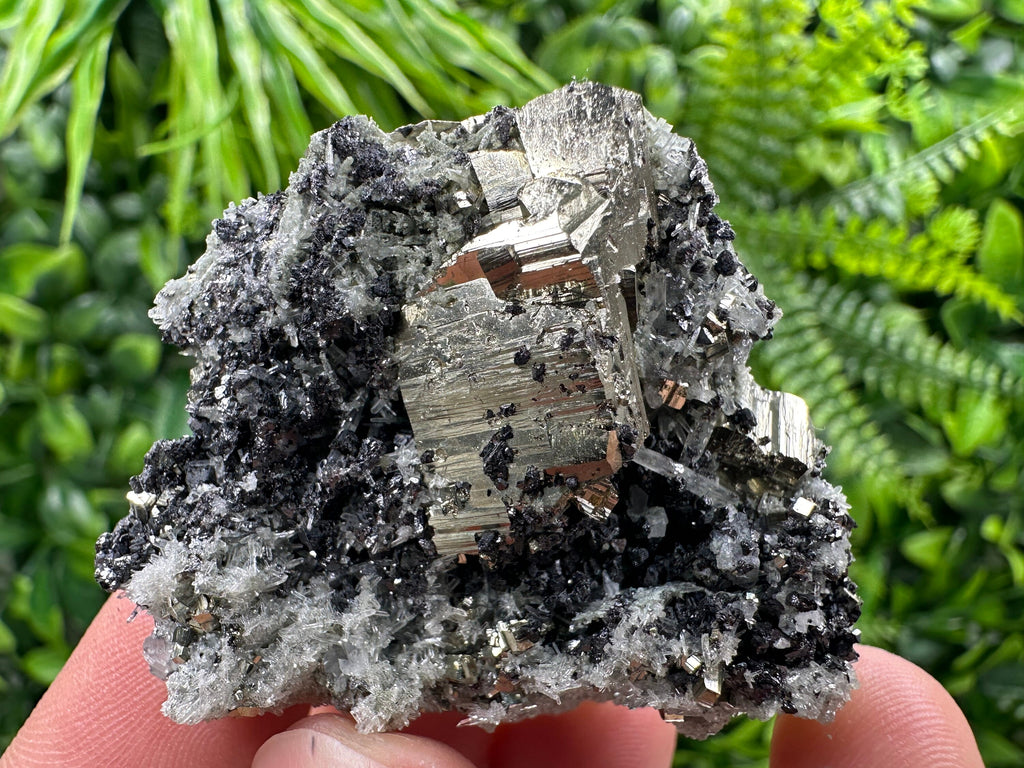 Pyrite on Quartz Needles, Borieva Mine Bulgaria