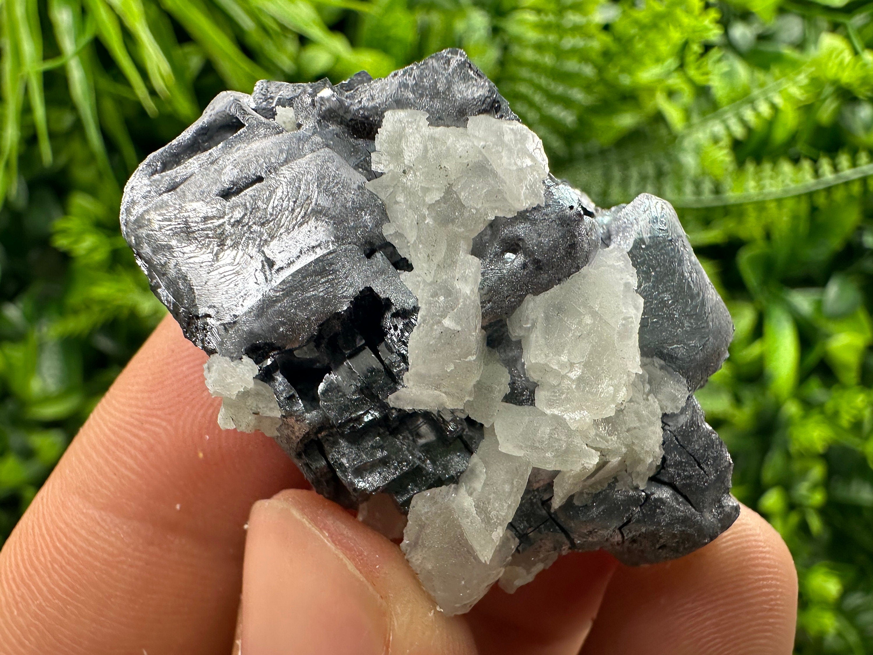 Galena Cluster: Borieva Mine, Madan, Bulgaria