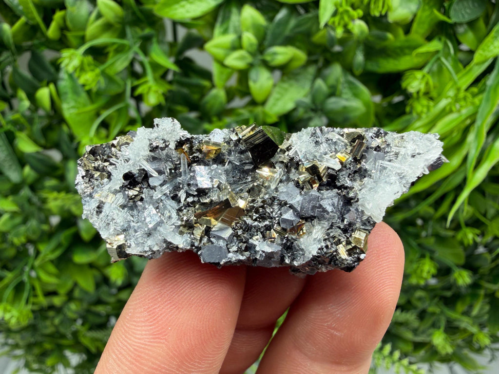 Galena Pyrite Sphalerite Quartz  Mineral Specimen, Krushev dol Mine