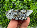 Galena Pyrite Sphalerite Quartz  Mineral Specimen, Krushev dol Mine