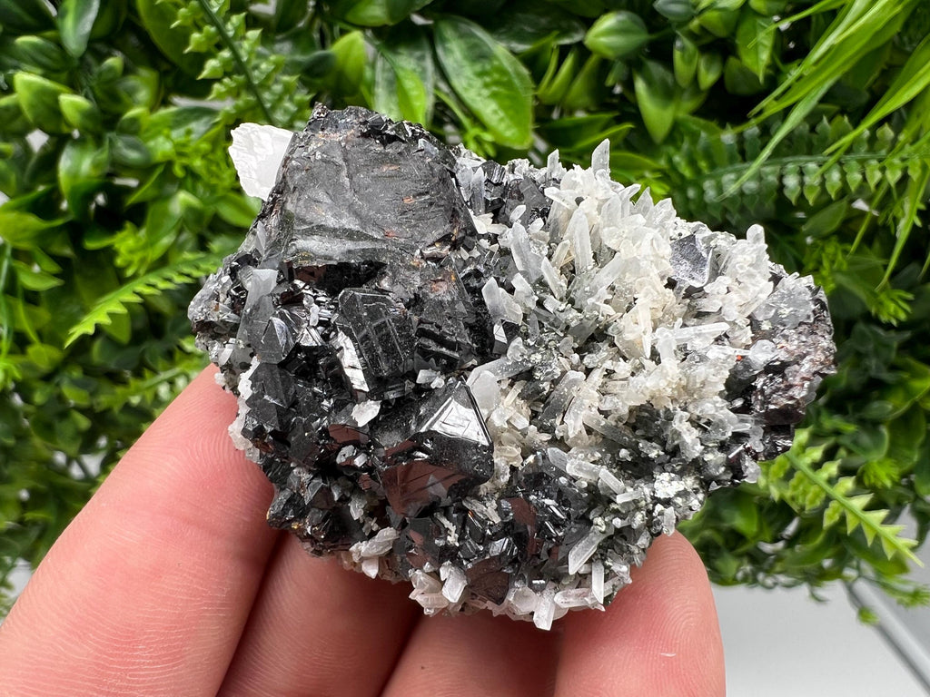 Wonderful Sphalerite,Quartz on Chlorite matrix,from Borieva mine,Madan,Bulgaria,natural collection mineral specimen,rare crystal,home decor