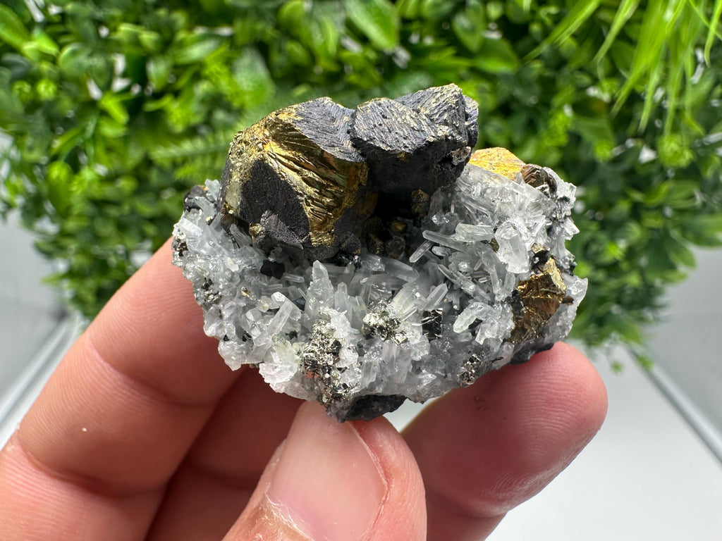 Stunning Chalcopyrite on Quartz,Chlorite From Djurcovo mine,Laki,Bulgaria,Natural,Collection mineral specimen,Home decor stone,Collection