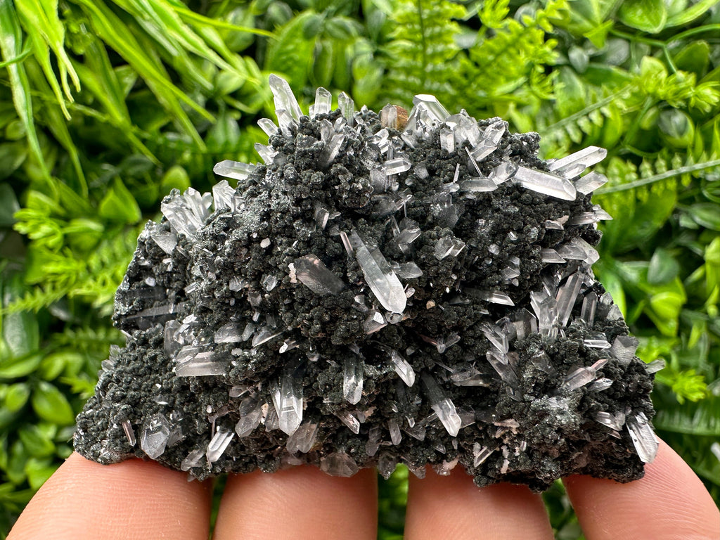Chlorite Quartz Crystal: Iron Oxide Mineral Specimen, Borieva Bulgaria