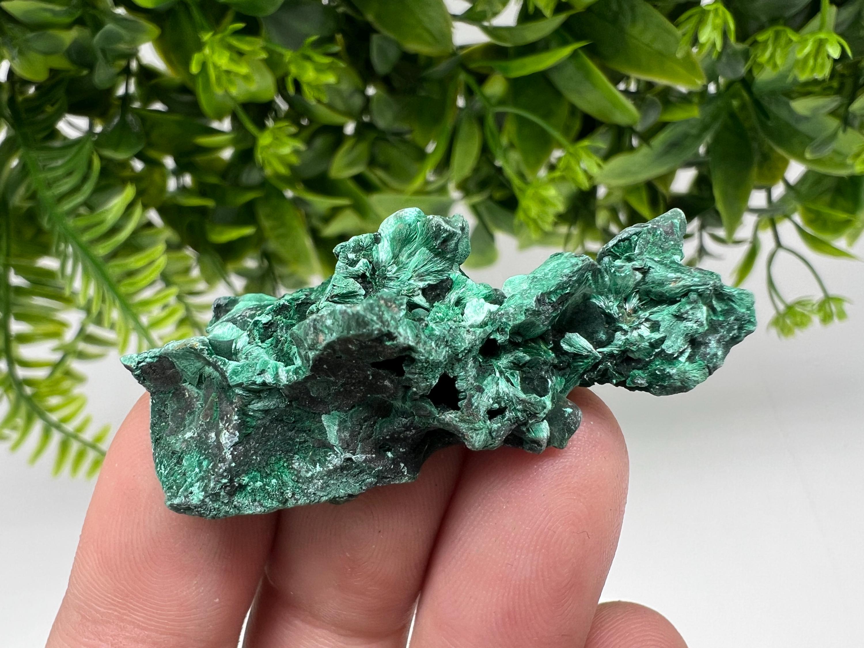 Malachite Crystal from Congo,Minerals,Crystals from Congo,Green Malachite, Malachite,Natural Malachite,Malachite Stone,Chakra, Specimens