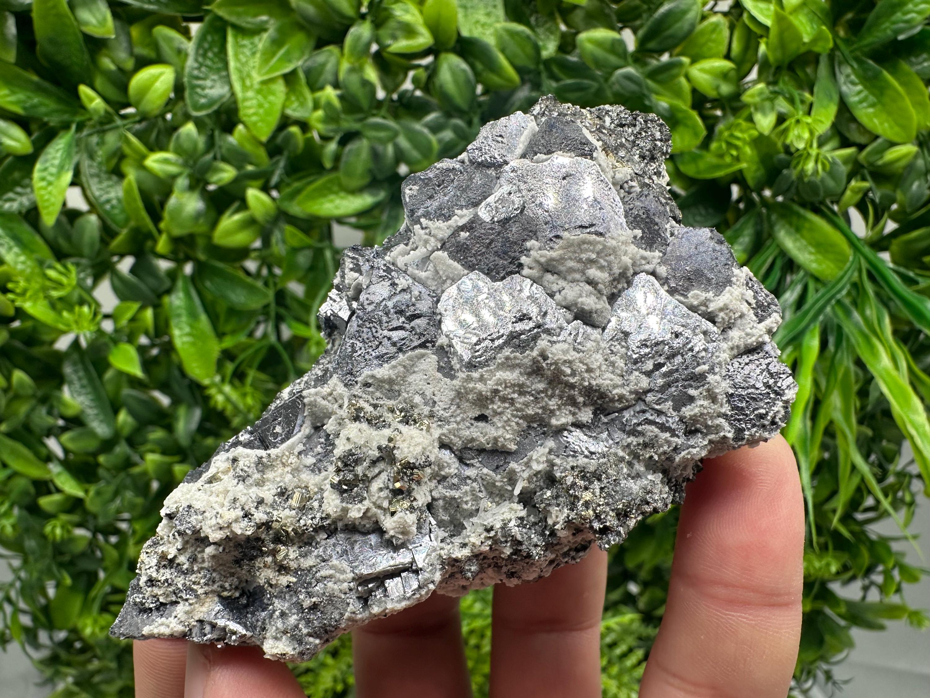 Galena with Quartz Specimen: Krushev Dol Mine, Bulgaria