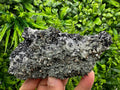 Pyrite Sphalerite Quartz Cluster with Chlorite, Borieva Bulgaria