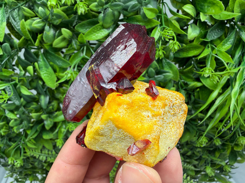 XXL Laboratory Pruskite Ruby Crystal on Matrix
