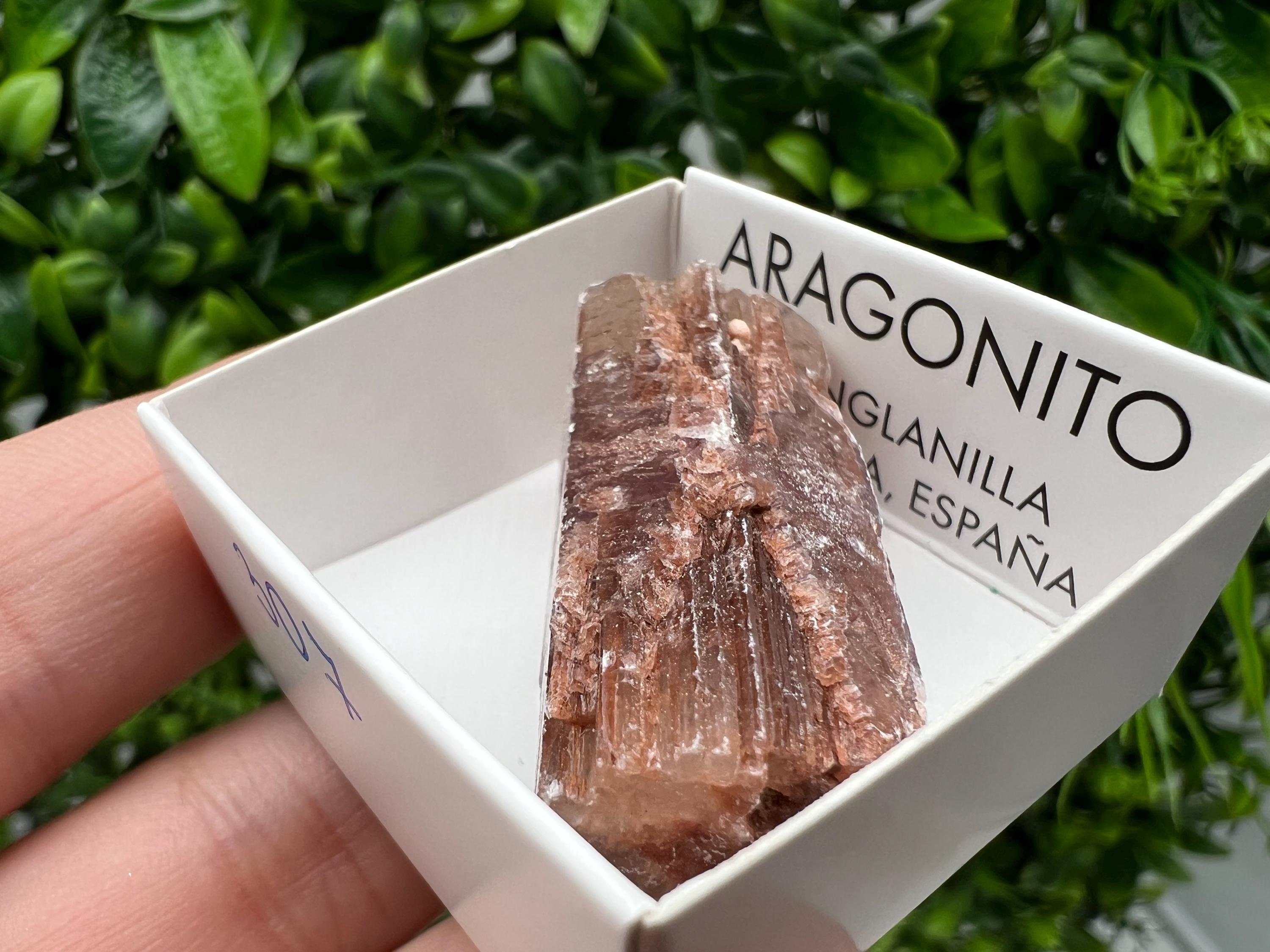 Amazing Aragonite from Spain,Aragonite crystal,cluster,natural,mineral,specimen,Purple Aragonite,Spanish Aragonite,Mineralcollection