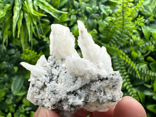 Calcite on Green Quartz: Djurcovo Mine, Bulgaria Healing Crystal