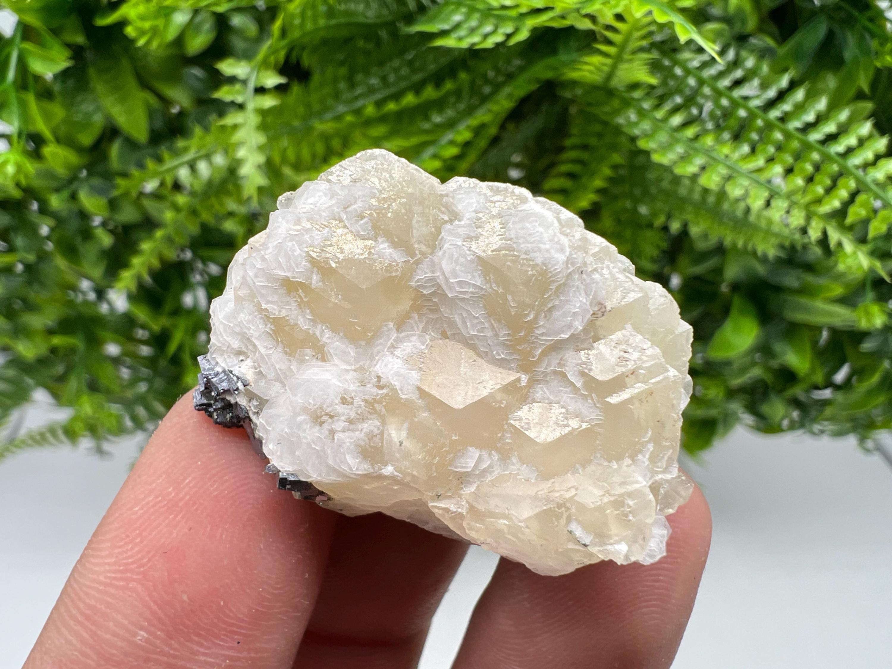 Calcite on Galena Specimen: Borieva Mine, Bulgaria