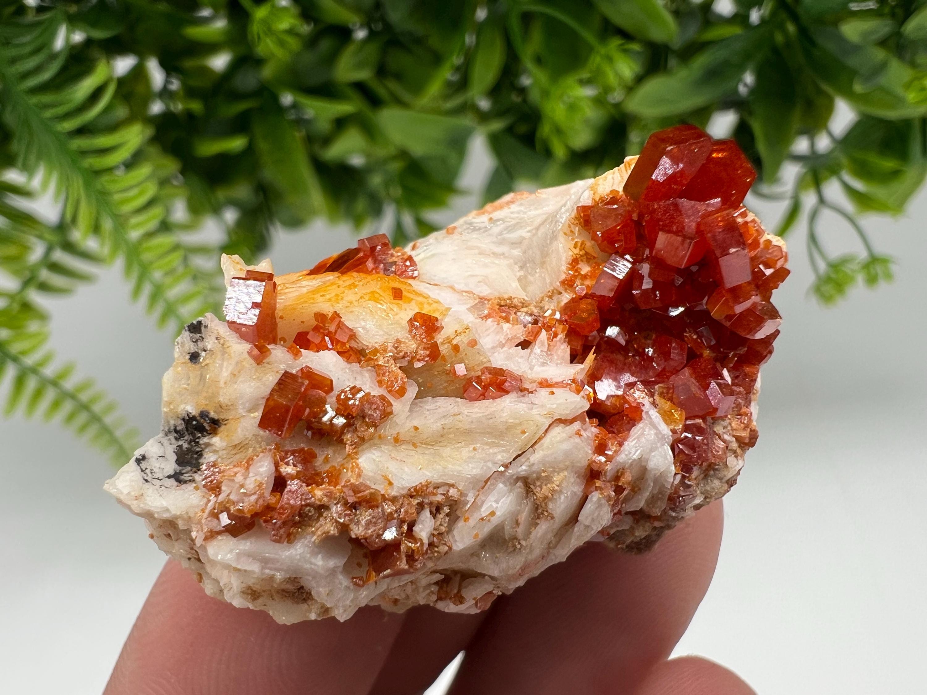Red Vanadinite on Barite from Marocco,crystal minerals Speciment cluster Vanadinite crystal Vanadinite Geology Vanadinite cluster minerals