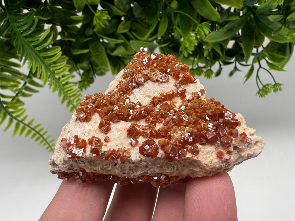 Red Vanadinite Crystal Cluster on Barite Matrix, Morocco