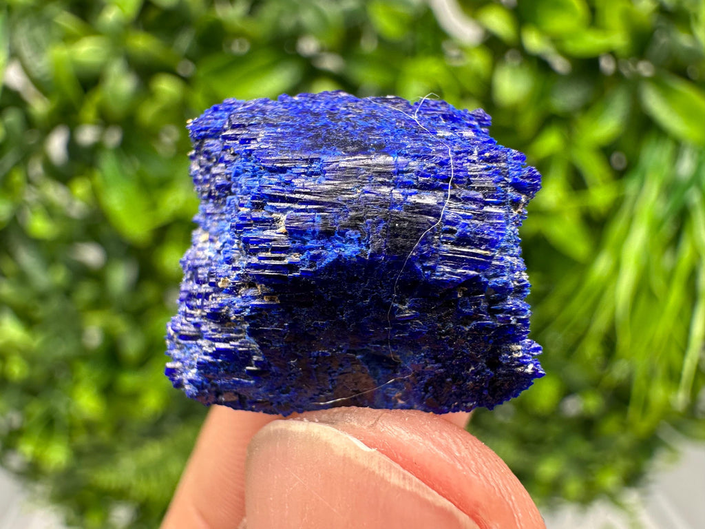Crystallized Azurite-Kerrouchen,Morocco-Blue Azurite Specimen-High Quality Blue Azurite-Azurite Mineral Specimen, gemmy,lustrous of Azurite