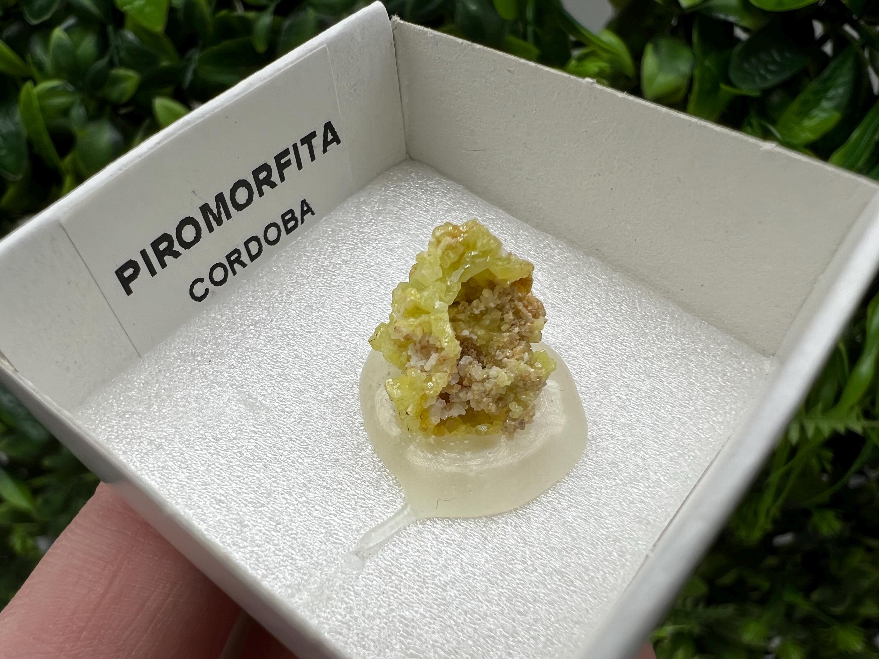 Pyromorphite Stone / Pyromorphite on Matrix / Pyromorphite Crystal / Raw Crystal / Pyromorphite Cluster / Rough Pyromorphite / Pyromorphite