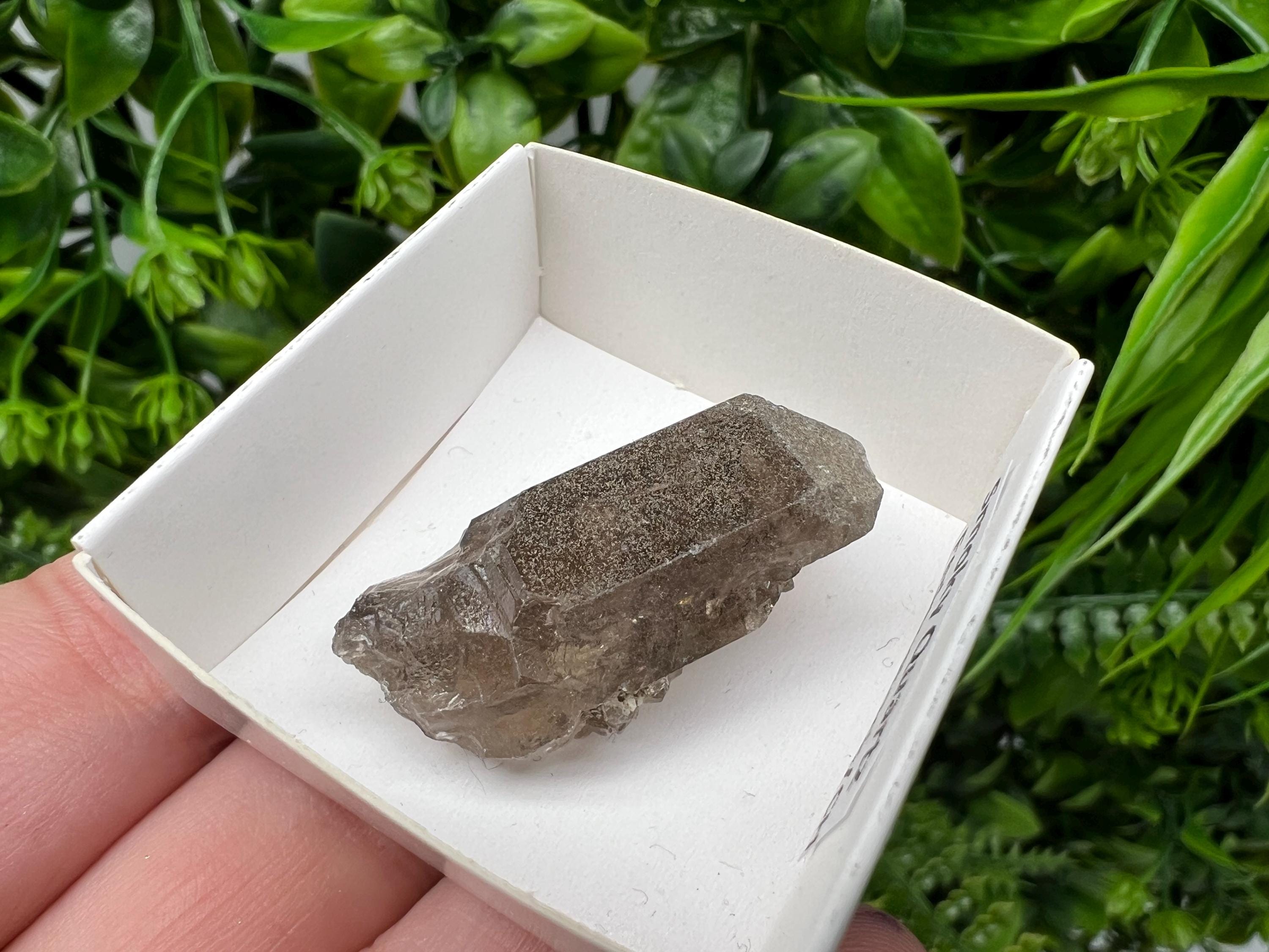 Rare Smoky Quartz Point, Fedenstock Switzerland Mineral Specimen (40MM)