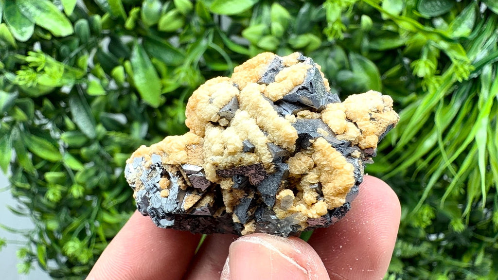 Skeletal Galena with Dolomite: Krushev Dol Mine, Bulgaria