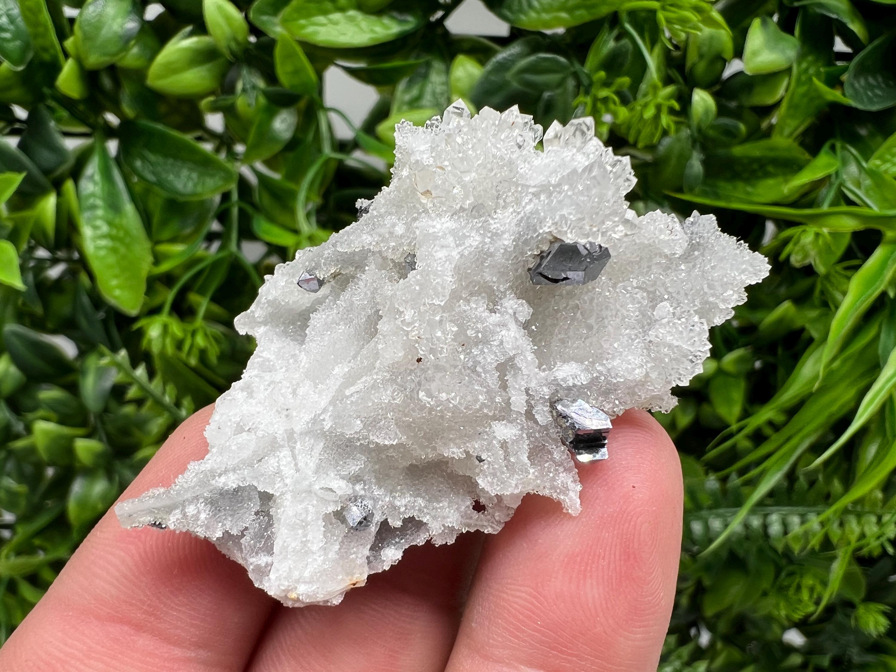 Galena on Chalcedony Specimen: Krushev Dol Mine, Bulgaria