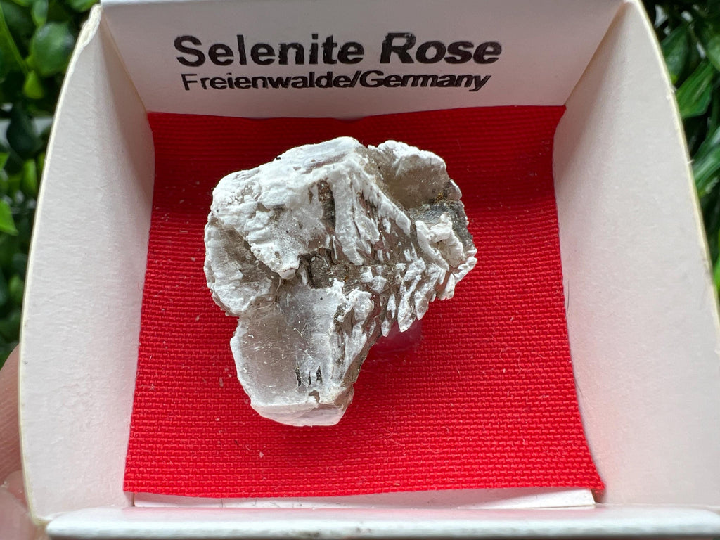 Selenite Rose Freienwalde,Germany natural crystal minerals,specimen,clusters,souvenirs,home decor,gift minerals,rare stone,collection