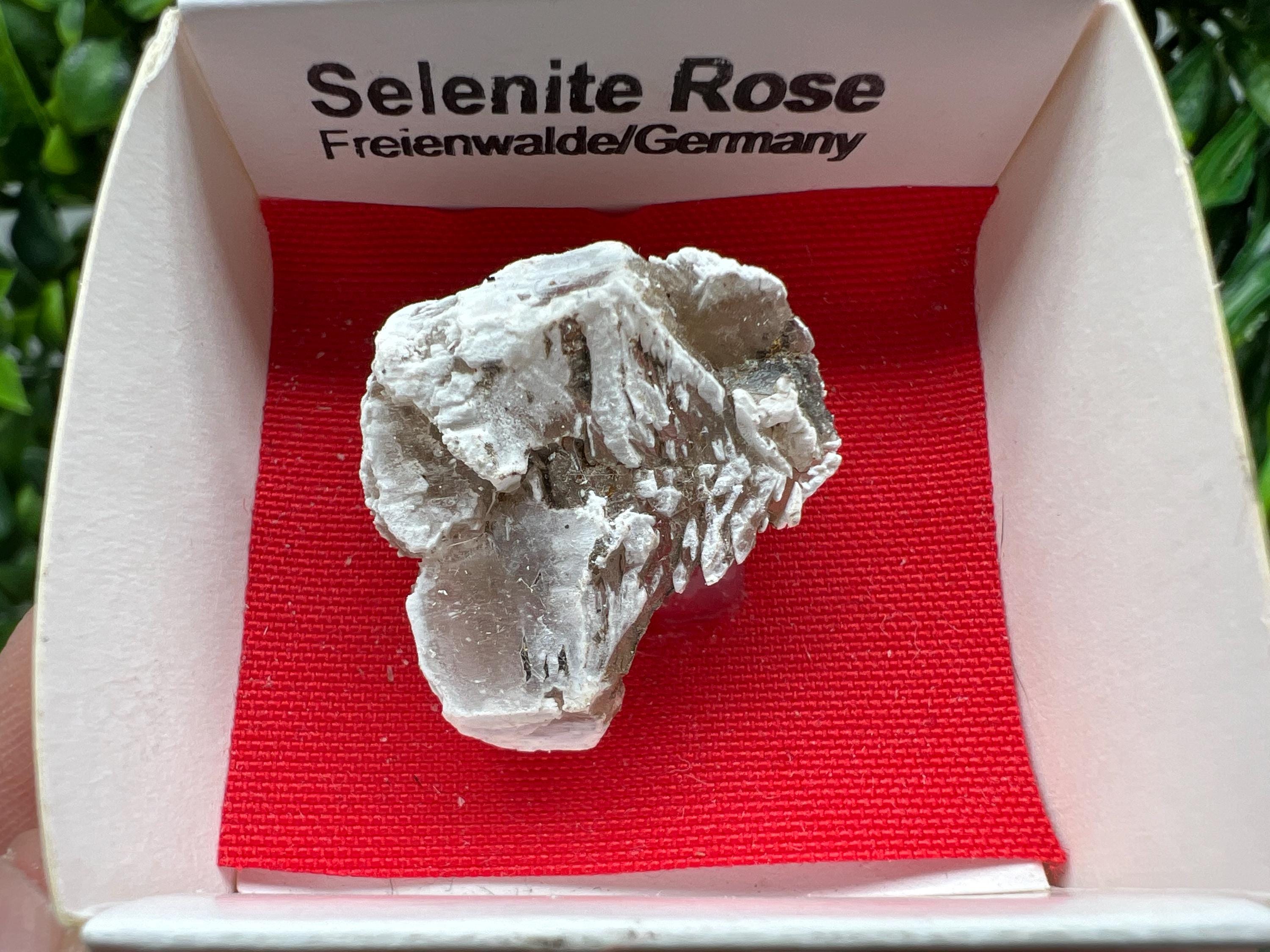 Selenite Rose Freienwalde,Germany natural crystal minerals,specimen,clusters,souvenirs,home decor,gift minerals,rare stone,collection