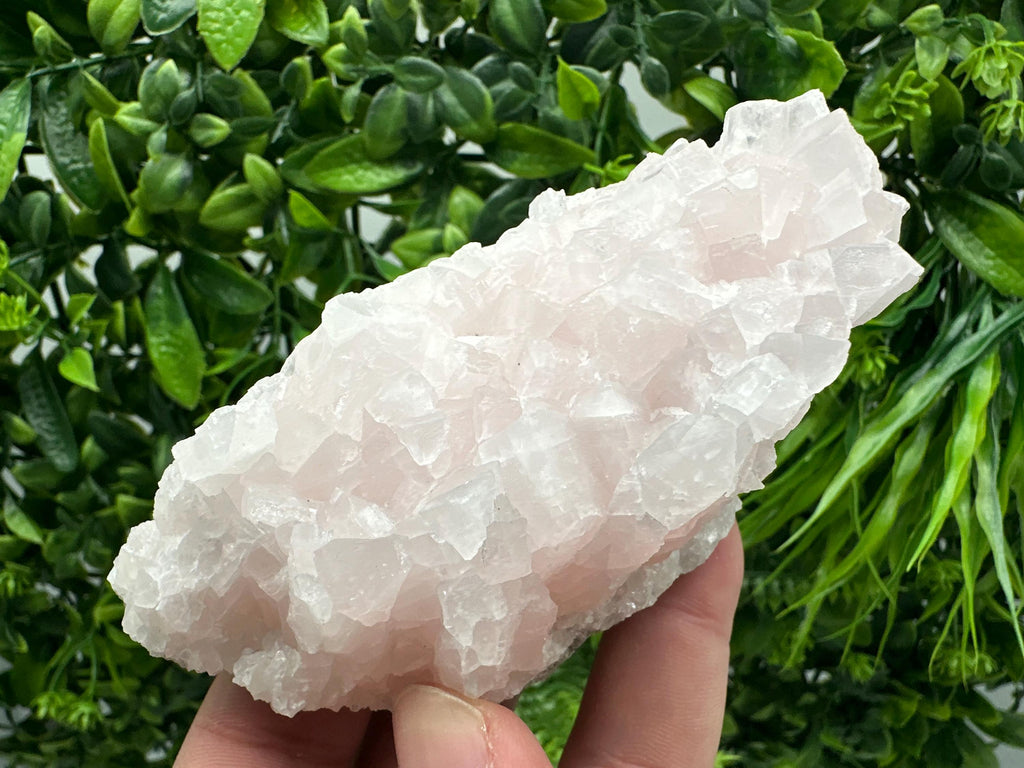 UV Reactive Mangano Calcite Crystal: Androvo Mine, Bulgaria