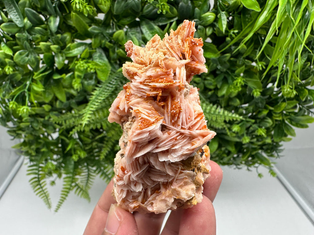 Red Vanadinite on Barite from Marocco,crystal minerals Speciment cluster Vanadinite crystal Vanadinite Geology Vanadinite cluster minerals