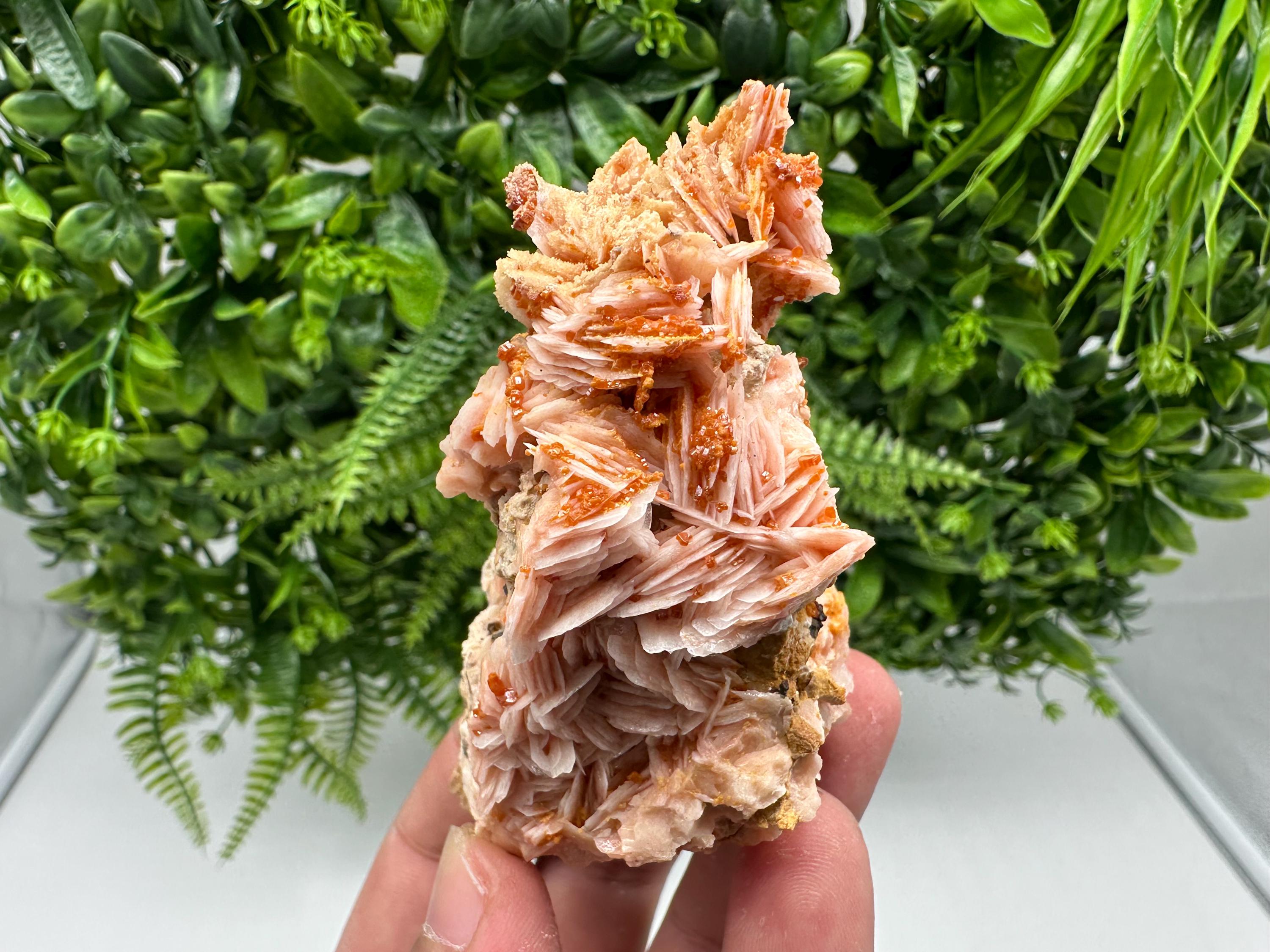 Red Vanadinite on Barite from Marocco,crystal minerals Speciment cluster Vanadinite crystal Vanadinite Geology Vanadinite cluster minerals