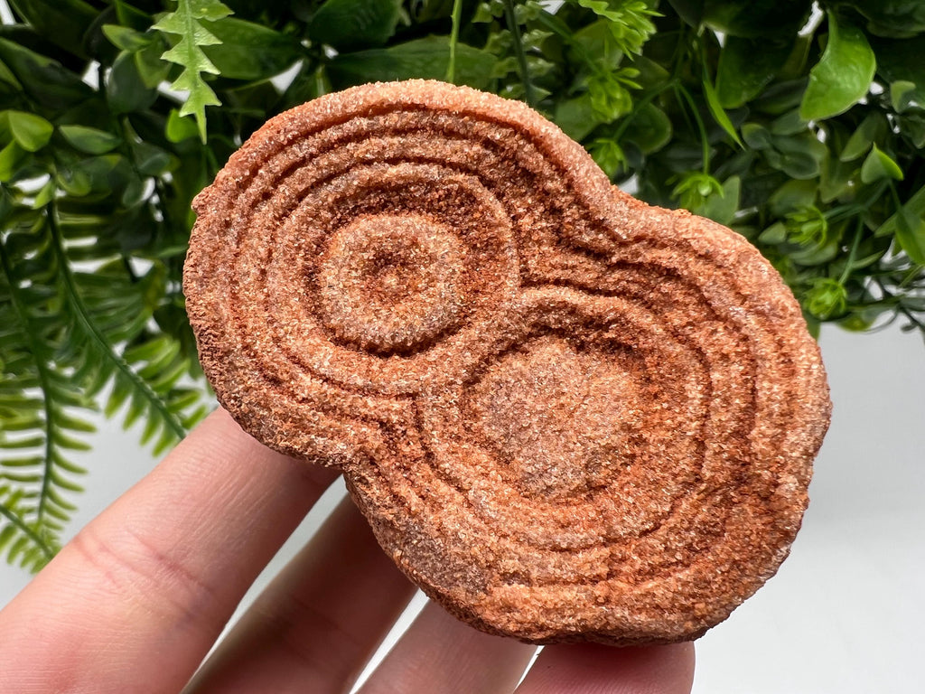 Raw Moroccan Stromatolite Fossil Specimen, Grounding Meditation Stone