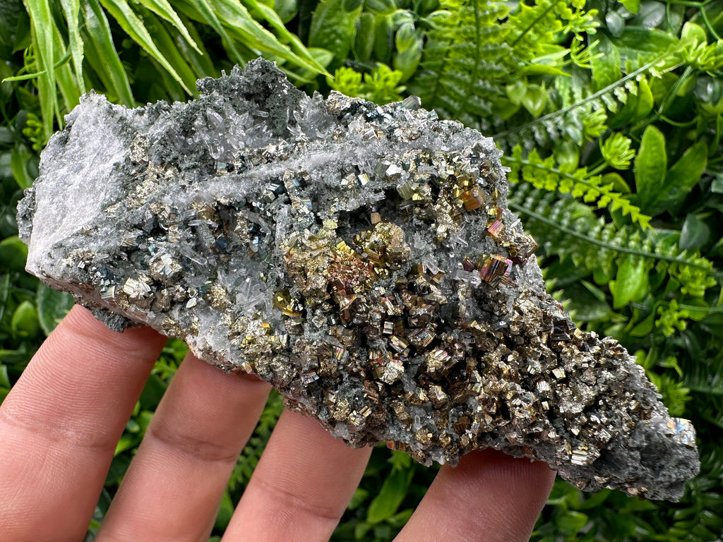Pyrite on Green Quartz, Borieva Mine Bulgaria, Home Decor Stone