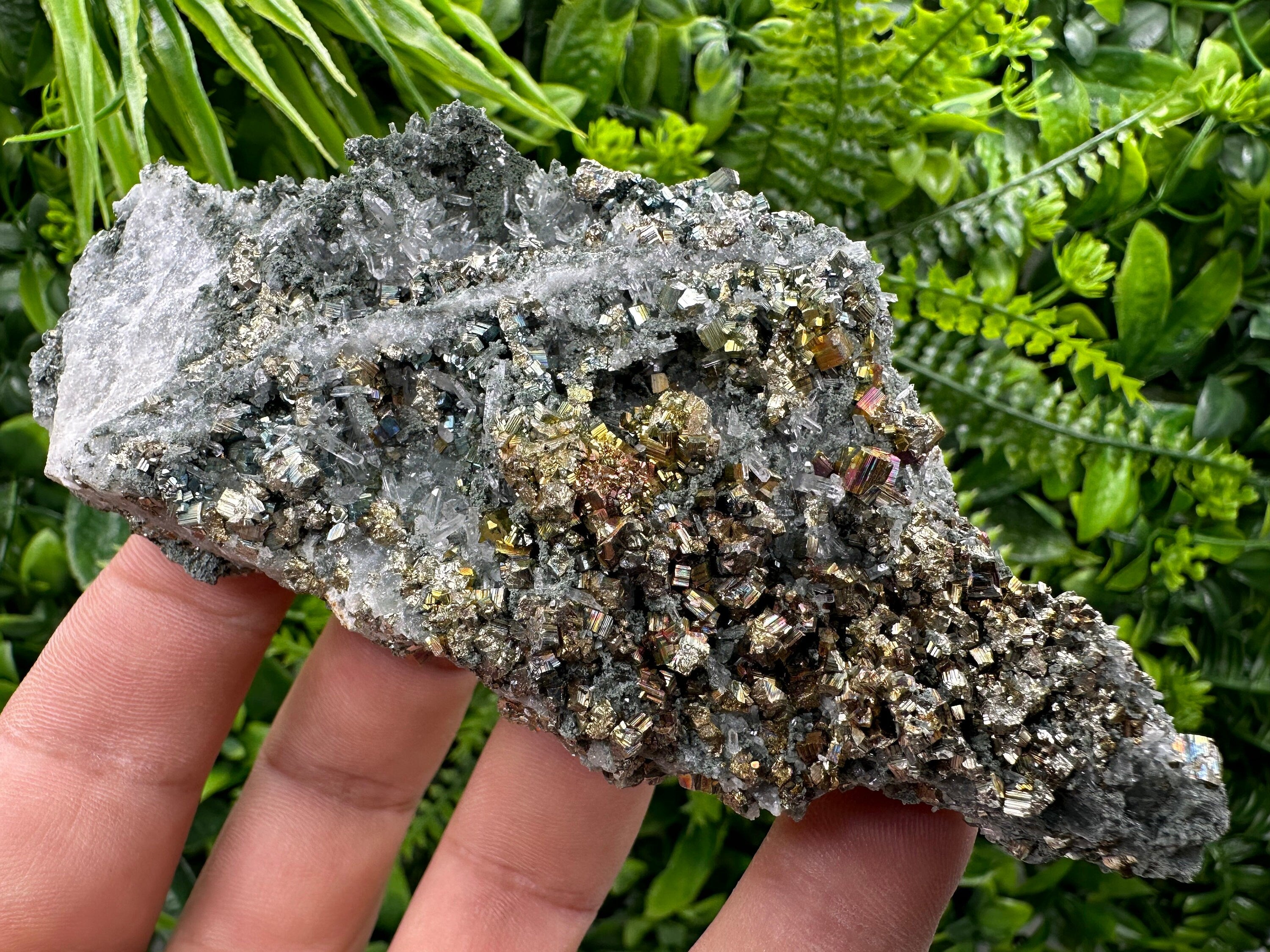 Pyrite on Green Quartz, Borieva Mine Bulgaria, Home Decor Stone