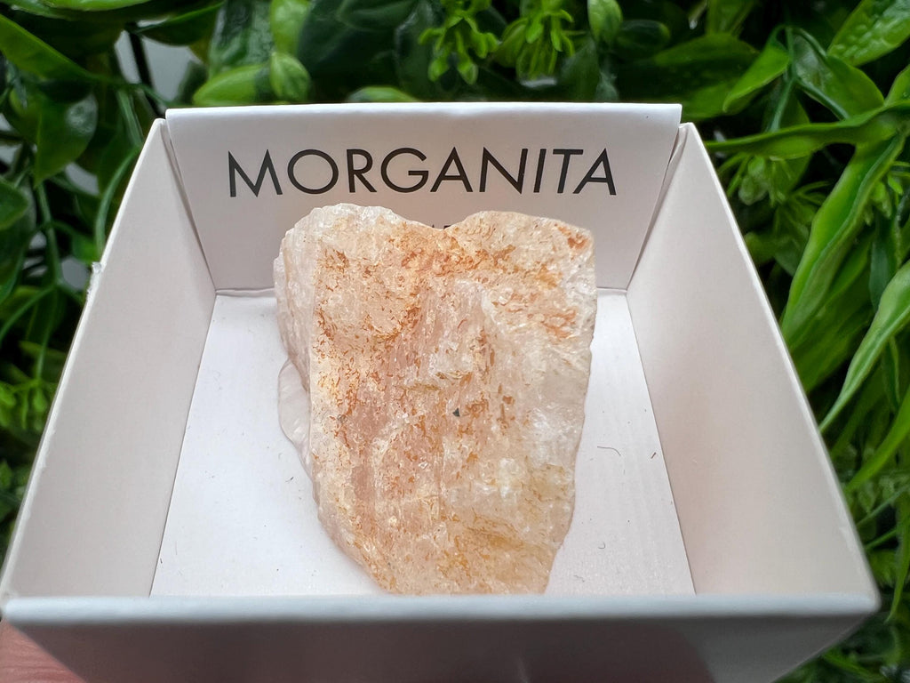 Rare Raw Morganite Specimen: Mozambique Crystal Collection (3/3.5cm)